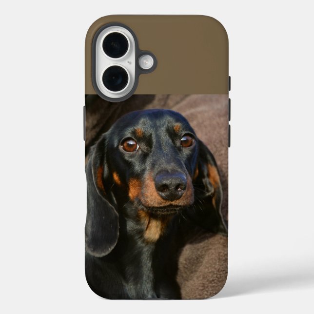 dachshund black and tan Case-Mate iPhone case (Back)