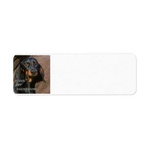 dachshund-black and tan love w pic return address label