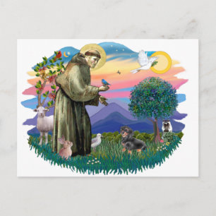 Dachshund (black and tan) postcard