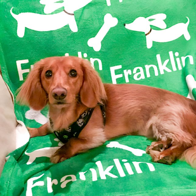 Dachshund Blanket Personalised Wiener Dog Gift  (Green customized wiener dog blanket)