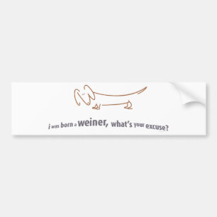 Dachshund. Born Weiner! Bumper Sticker