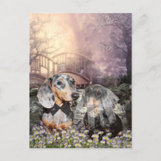 Dachshund bride and groom postcard