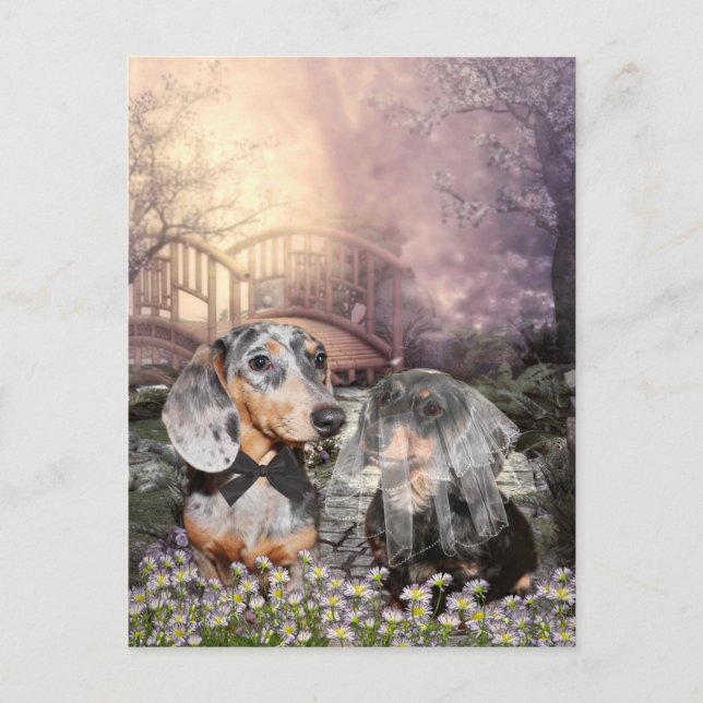 Dachshund bride and groom postcard (Front)