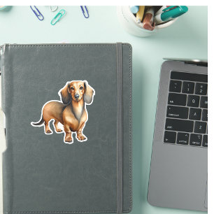 Dachshund Brown Pet 