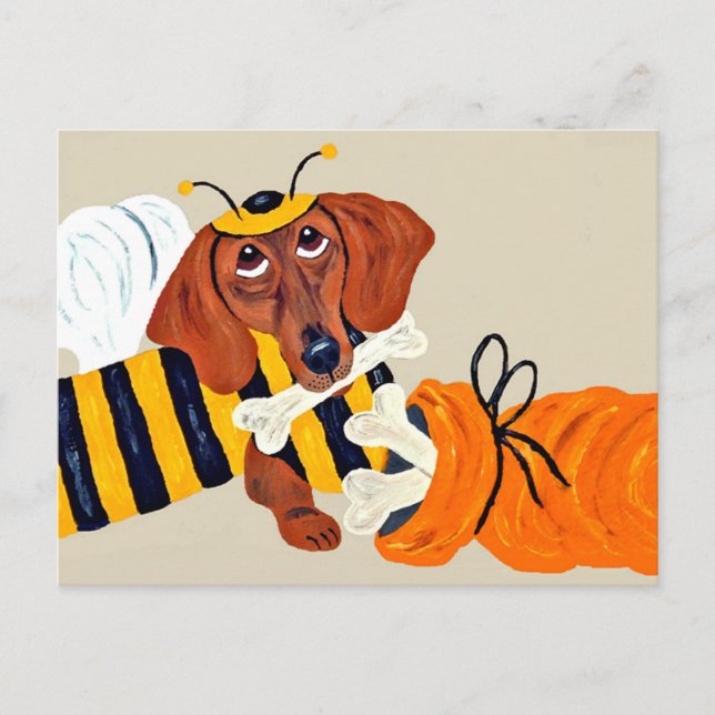 Dachshund Bumblebee with dog treats Postcard (Front)