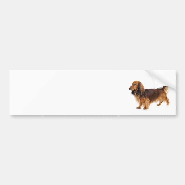 Dachshund Bumper Sticker (Front)