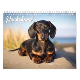 Dachshund Calendar