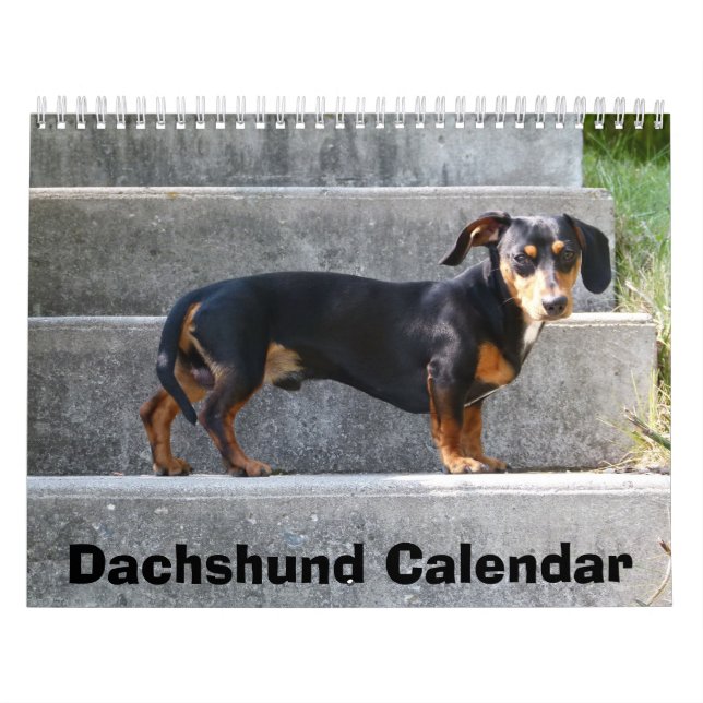 Dachshund Calendar 2023 Add Your Photos (Cover)