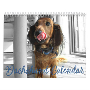 Dachshund Calendar 2023 Customised Photos