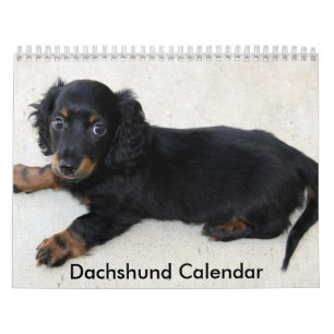 Dachshund Calendar 2023 Personalised Photos
