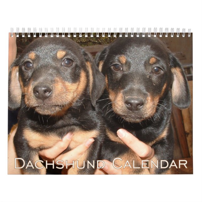 Dachshund Calendar 2026 With Photos (Cover)