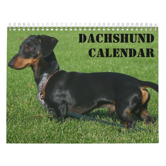 Dachshund Calendar With Your Photos (Cover)