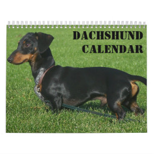 Dachshund Calendar With Your Photos