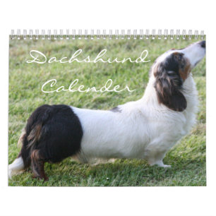 Dachshund Calender Calendar