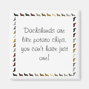 Dachshund-can't have just one magnet