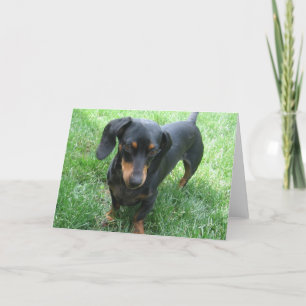 Dachshund Card