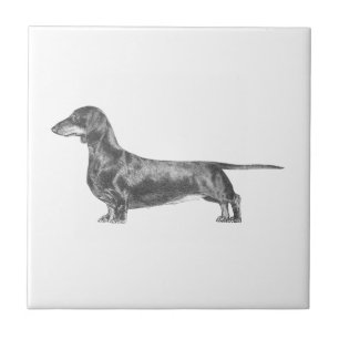 Dachshund Ceramic Tile