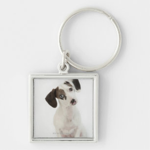 Dachshund/Chihuahua female puppy Key Ring