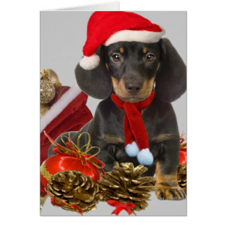 Dachshund christmas and ornaments greeting card