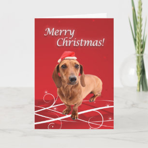 Dachshund Christmas Card