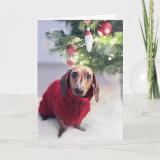 Dachshund Christmas Card