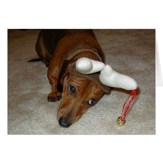 Dachshund Christmas Card - Reluctant Reindeer