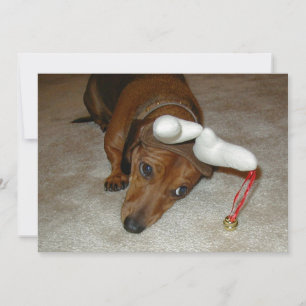 Dachshund Christmas Card - Reluctant Reindeer