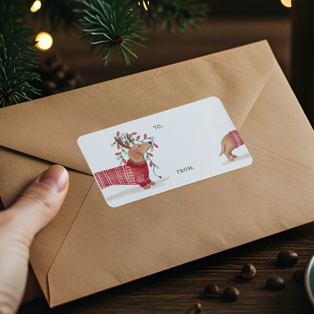 Dachshund Christmas Dog Cosy Sweater With Lights Label (Dachshund Christmas Dog Cozy Sweater With Lights Label)