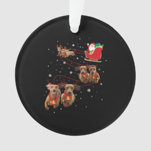 Dachshund Christmas Funny Christmas Gift Ornament