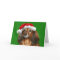 Dachshund Christmas