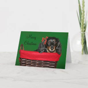 Dachshund Christmas Holiday Card