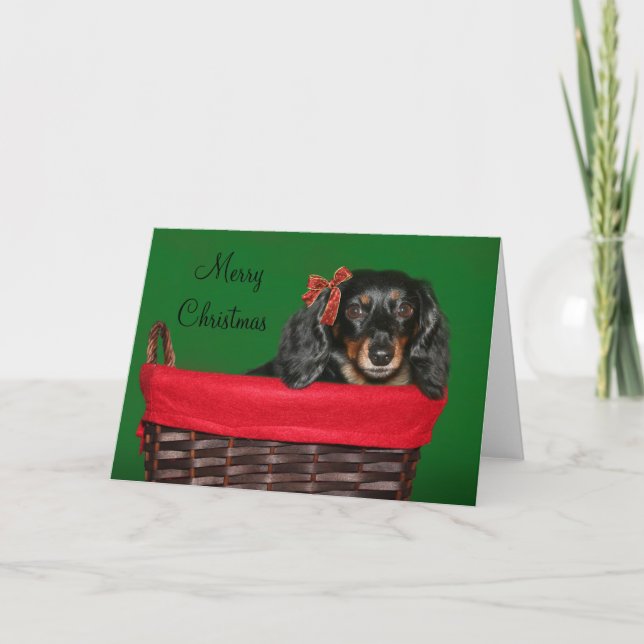 Dachshund Christmas Holiday Card (Front)