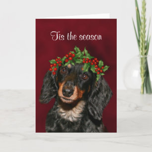 Dachshund Christmas Holiday Card