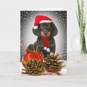 Dachshund Christmas Hound Cards