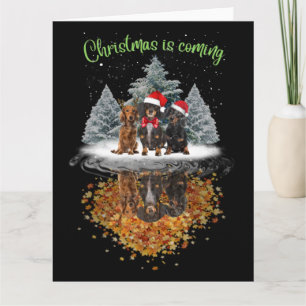 Dachshund Christmas Is Coming Cute Dog Graphic Tee Card