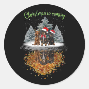 Dachshund Christmas Is Coming Cute Dog Graphic Tee Classic Round Sticker