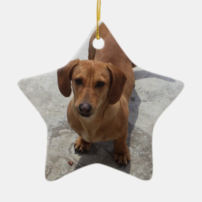 Dachshund Christmas Ornament Star Custom (Front)
