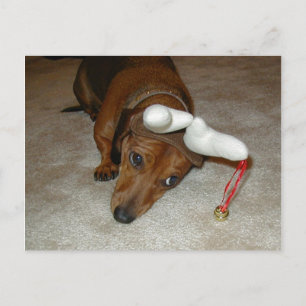 Dachshund Christmas Post Card