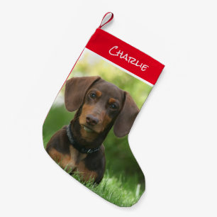 Dachshund Christmas Stocking