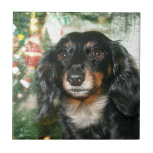 Dachshund Christmas Tile
