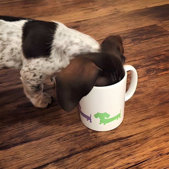 Dachshund Coffee Mug Wiener Dog Doxie Love (Creator Uploaded)
