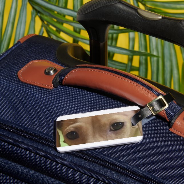 dachshund cream eyes luggage tag (Front Insitu 3)