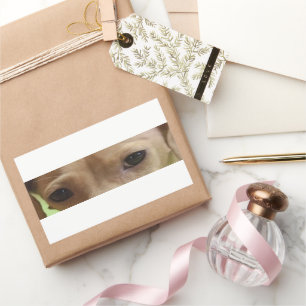 dachshund cream eyes rectangular sticker