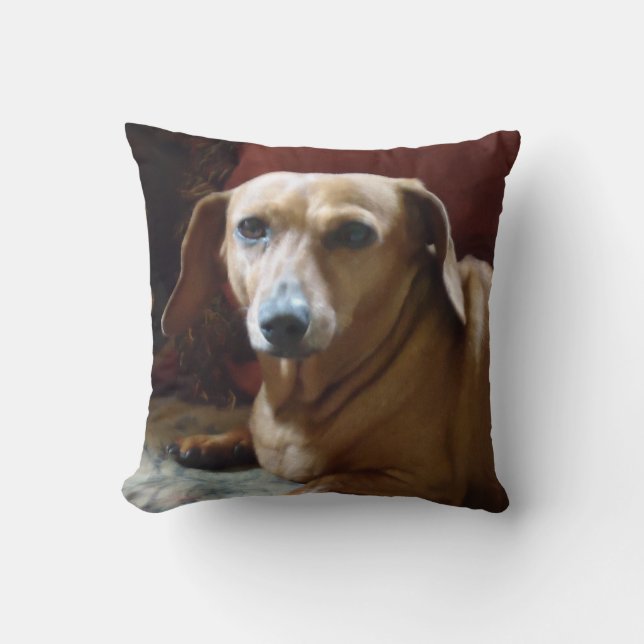 Dachshund Cushion (Front)