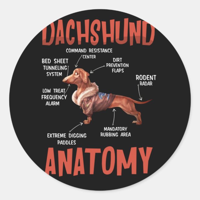 Dachshund Cute for Wiener Doxie Lovers Anatomy Classic Round Sticker (Front)