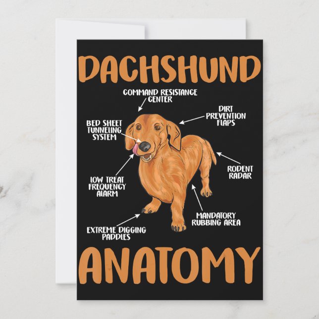 Dachshund Cute Gifts Wiener Doxie Lovers Thank You Card (Front)