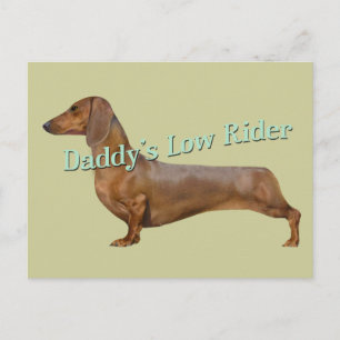 Dachshund Daddy's Low rider Gifts Postcard