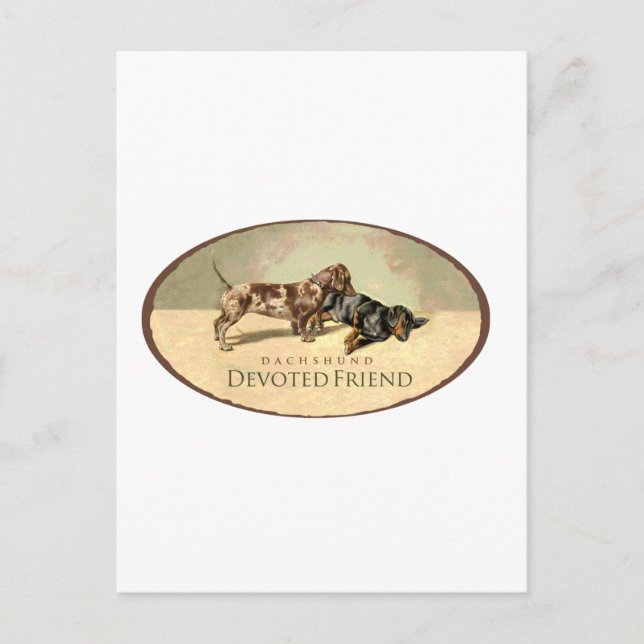 Dachshund..Devoted Friend Postcard (Front)