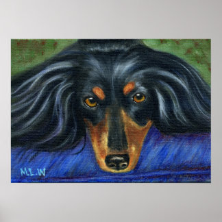 Dachshund Dog Breed Art - Hallie Poster