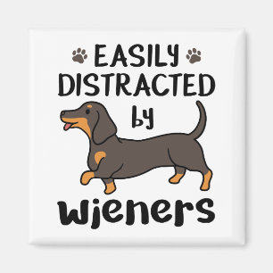 Dachshund Dog Easily Distracted by Wieners Magnet